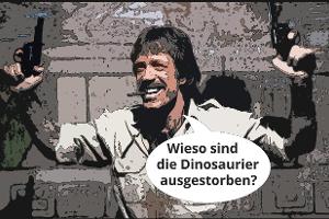 Die besten Chuck-Norris Witze