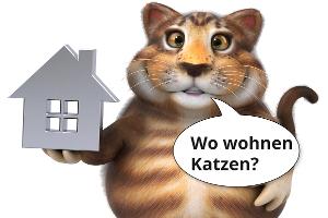 Die besten Katzen-Witze