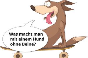 Die besten Hunde-Witze