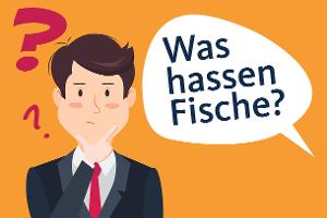 Scherzfragen: Erraten Sie die lustigen Antworten?