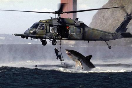 Gefakter Hai - Dieser Hai greift den Helikopter in Wahrheit nur dank Photoshop an.