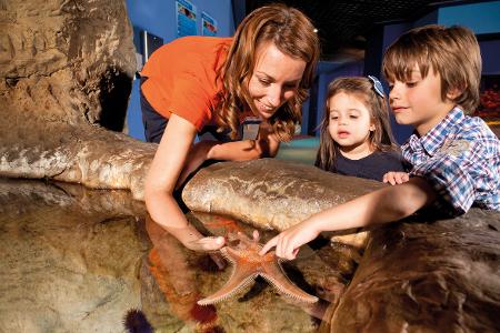1.1.3 Visita-4- (c) Palma-Aquarium.jpg