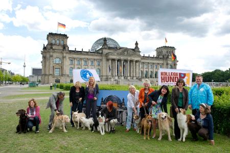 hunde im bundestag