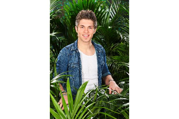 dschungelcamp ich bin ein star holt mich hier raus rtl sonja zietlow daniel hartwich olivia jones helmut berger dagobert