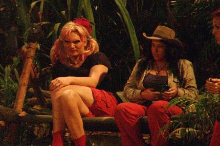dschungelcamp ich bin ein star holt mich hier raus 2013 rtl geheimnisse joey heindle olivia jones patrick nuo allegra curtis