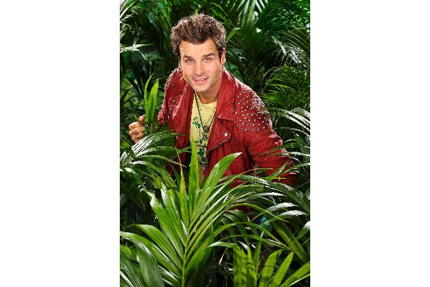 dschungelcamp ich bin ein star holt mich hier raus rtl sonja zietlow daniel hartwich olivia jones helmut berger dagobert