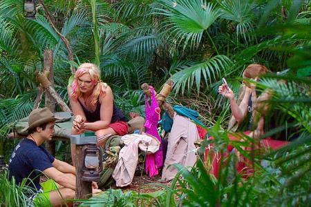 dschungelcamp, ich bin ein star holt mich hier raus, rtl, fiona erdmann, patrick nuo, kotzen, pornosucht, sonja zietlow