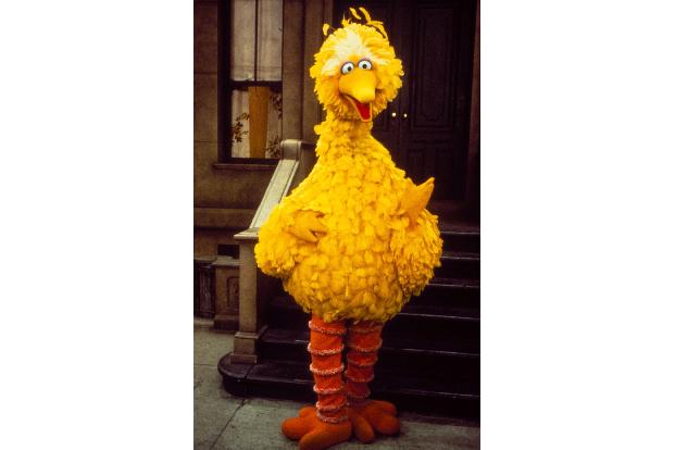 sesamstraße, sesame street, jubiläum, 40 jahre, ndr, ernie, bert, samson, tiffy, bilbo, oscar, finchen