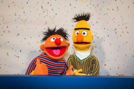 sesamstraße, sesame street, jubiläum, 40 jahre, ndr, ernie, bert, samson, tiffy, bilbo, oscar, finchen