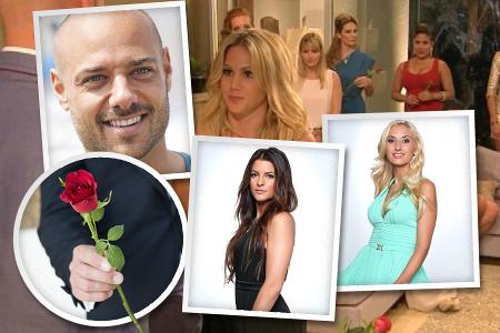 Der Bachelor