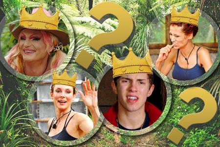 dschungelcamp 2013 ich bin ein star holt mich hier raus rtl dschungelprüfung fiona claudelle joey olivia patrick dschungelkönig