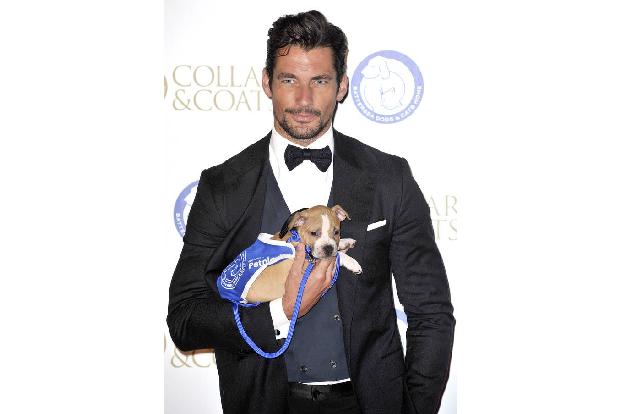 David Gandy