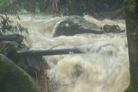 ...dieser reißende Fluss geworden!