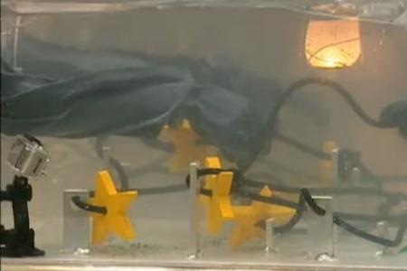 Die ekelhafte Dschungelprüfung fällt ins Wasser, also wird ein Geschicklichkeits-Spiel improvisiert.