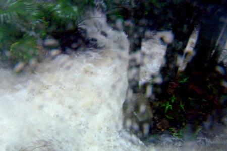 Aus dem einst plätscherndem Bach ist ein reißender Fluss geworden