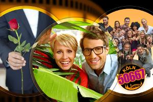 Das werden die TV-Kracher 2013
