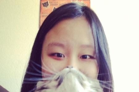 cat beards asiatisch