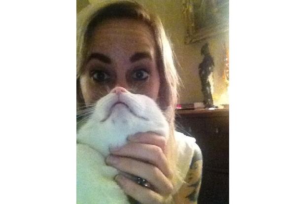 cat beards blond