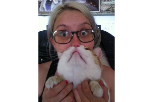 cat beards schüchtern