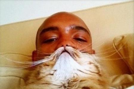 cat beards bett