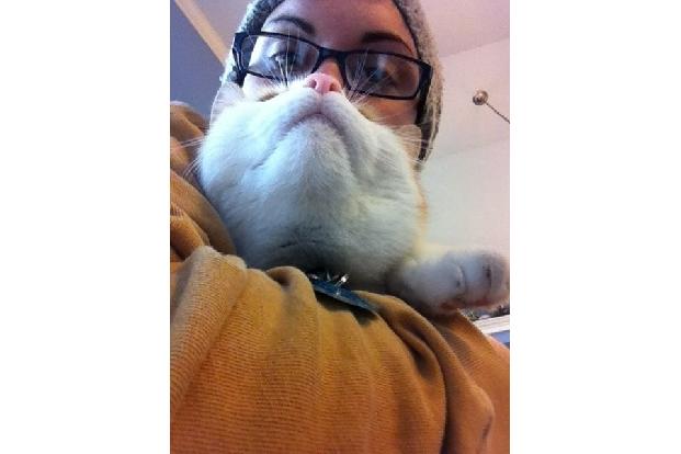 cat beards nerd