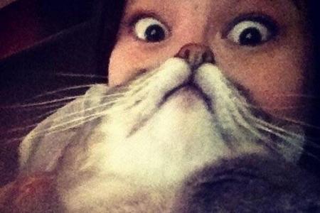 cat beards irre