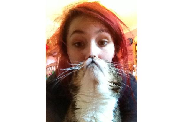 cat beards müde