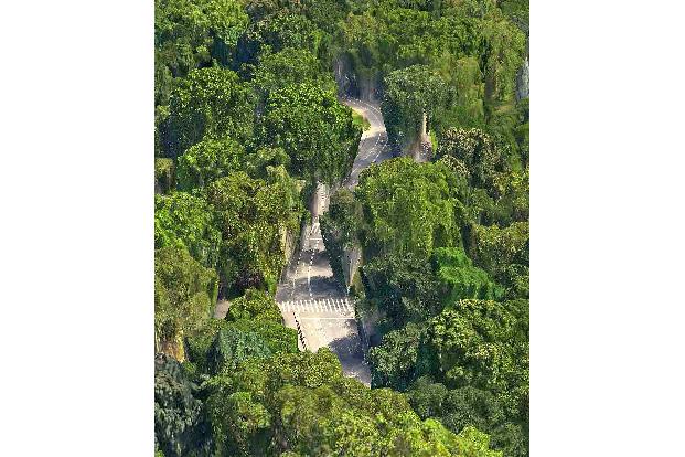 apple maps fehler central park