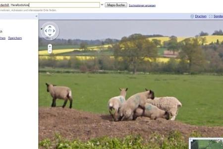 Witzige Google Street View Impressionen