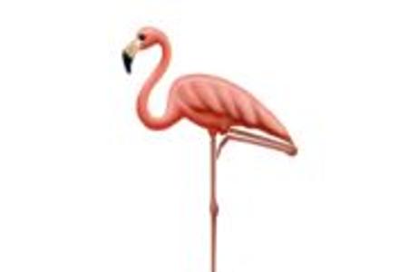 Flamingo.JPG