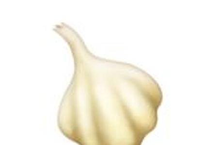 Knoblauch.JPG