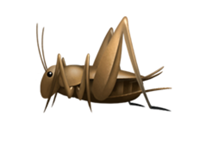 Grasshüpfer.PNG