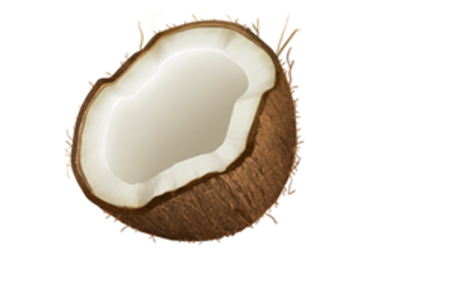 Kokosnuss.PNG