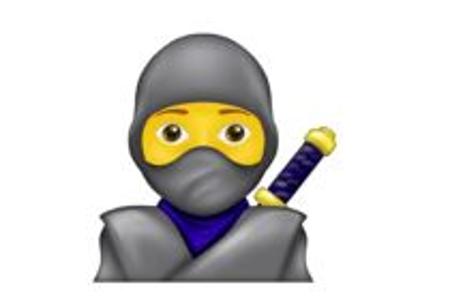 Ninja.JPG