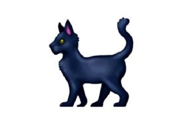 Schwarze Katze.JPG