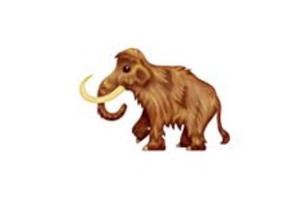 Mammut.JPG
