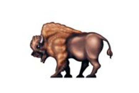 Bison.JPG