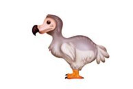 Dodo.JPG
