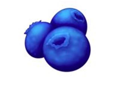 Blaubeeren.JPG