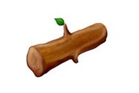 Holz.JPG
