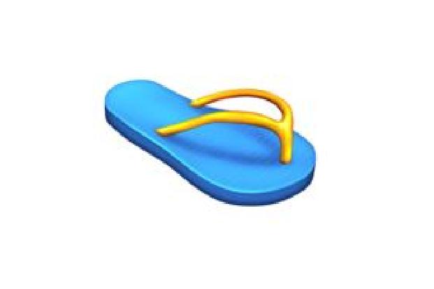 Flipflop.JPG