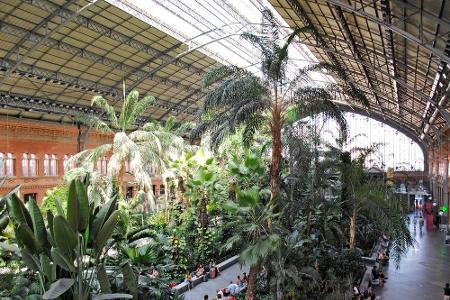 Ein Urwald mitten in der Stadt: Als der Atocha Bahnhof in Madrid einen neuen Haupttrakt bekam, wurde die alte Halle zum trop...