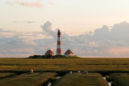 Bei Sylt war es eigentlich schon klar: Die Nordsee muss als Destination in unserem Last-Minute-Ranking erscheinen. Und ein f...