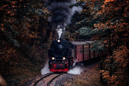 Auch eine deutsche Verbindung genießt internationales Ansehen, vor allem unter Nostalgikern: die Harzquerbahn. Die gut 60 Ki...
