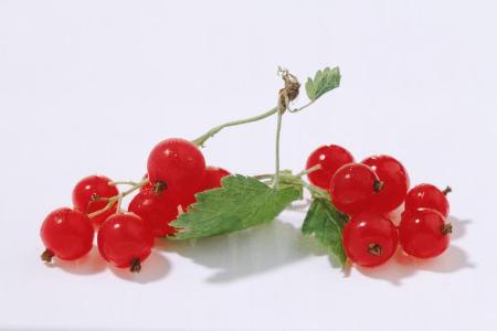 Rote Johannisbeeren