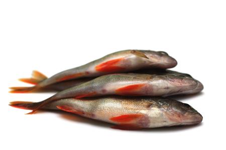 Fisch