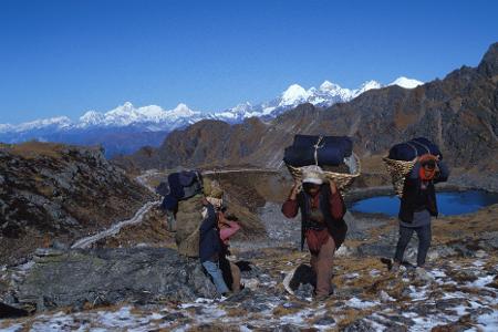 Sherpa Sherpa