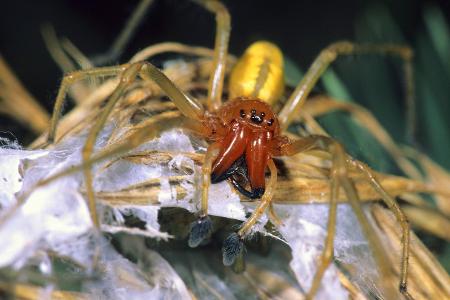 imago images blickwinkel.jpg