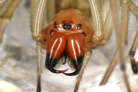 imago70503376h.jpg