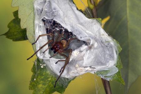imago69637348h.jpg